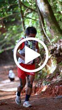 BIB:  <button type="button" onclick="openModal(27323495)" class="btn btn-primary btn-sm float-right" data-toggle="modal" data-target=".modal-high-quality">
                <i class="fa fa-download"></i> Download
                </button>